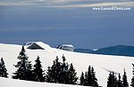 Monte Longara: Geführte Schneeschuh-Touren mit GUIDE Plateau-2 Januar 2016 