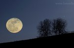 MONTE LISSER-Escursione guidata con GUIDE ALTOPIANO-sabato 21 maggio SERALE