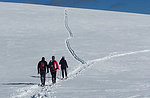 Marcesina:la piana incantata ciaspolata con GUIDE ALTOPIANO Asiago-16 Genn 2016