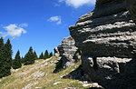 MONTE FIOR and the crown of rock, guided excursion - Wednesday, August 25, 2021