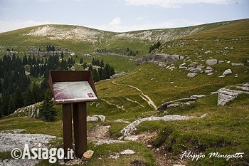 Monte Fior Monte Fior