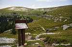 Guided hike in places of great war-Monte Fior-Wednesday, 8 July