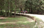 STRAFEXPEDITION: Escursione LETTERARIA con GUIDE ALTOPIANO 5 luglio 2016