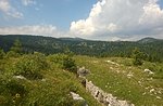 Escursione Guidata luoghi della Grande Guerra Monte Zebio-mercoledì 15 luglio 