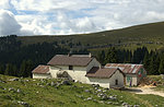 Malghe tour Slapeur: Visit the Alpine pastures with plateau-Wednesday, August 5, 2015