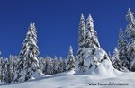 Drei Berge: Ausflug/geführte Tour mit GUIDE Plateau-27 Februar 2016