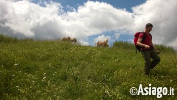 Tre Monti Tre Monti
