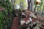 AUTUMN COLORS, the trenches of Campolongo, Sunday, October 24, 2021