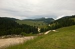Escursione Guidata Naturalistica Giro Malghe Val Formica- Domenica 12 Luglio