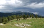 Historical excursion to Monte Zebio-Saturday August 9, 2014