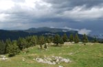 Historischer Ausflug zum Monte Zebio-Samstag, 9. August 2014