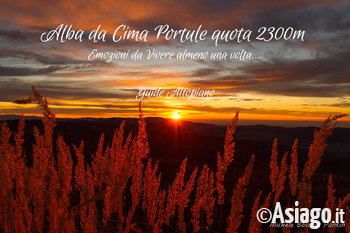 Alba Portule Alba Portule