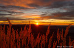 Sunrise from MONTE VERENA-Trekking with GUIDE 29 October 2017 PLATEAU-Sunrise