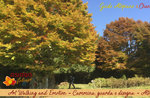 ART WALKING AND EMOTION: Walk and draw autumn colors, Guided Excursion