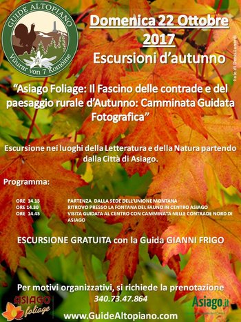 Asiago Foliage