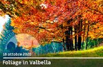 FOLIAGE IN VALBELLA, the colors of altopia, guided excursion, 18 October 2020 