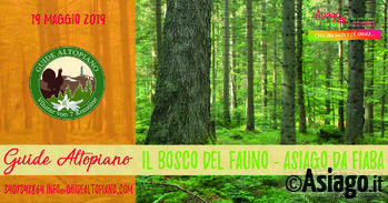 Bosco del Fauno Guide Altopiano