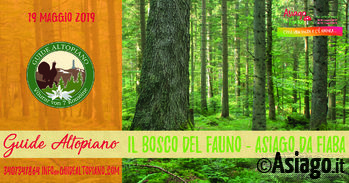 Bosco del Fauno Guide Altopiano Bosco del Fauno Guide Altopiano