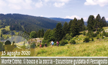 Bosco Roccia-GuideAltopiano Bosco Roccia-GuideAltopiano