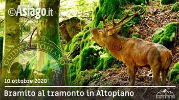 Bramito guide altopiano Bramito guide altopiano