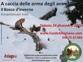 Caccia orme Caccia orme