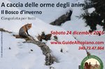 -24 geführte Schneeschuhwanderung mit Fußspuren JAGD: HIGHLAND GUIDES Dezember 2016