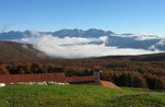 CANSIGLIO forest by reme: excursion GUIDE plateau, 10 July 2018