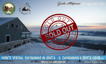 Capodanno-sold