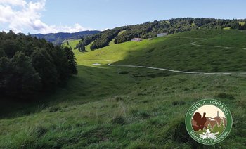 cOL_DEL_ROSSO_GUIDEALTOPIANO cOL_DEL_ROSSO_GUIDEALTOPIANO