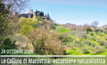 Colline di Marostica - Guide Altopiano