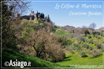 Colline Guide Altopiano