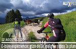 GO E-BIKE EXPERIENCE: pedalando tra le malghe sopra la pianura, 12 agosto 2020