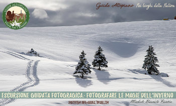 Escursione Fotografica - Guide Altopiano