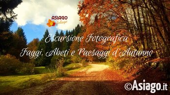 EscursioneFotografica-GuideAltopiano EscursioneFotografica-GuideAltopiano