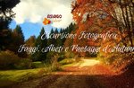 ESCURSIONE FOTOGRAFICA, faggi, abeti e paesaggi d'autunno 13/10/19