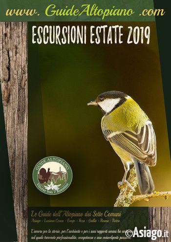 ESCURSIONI e TREKKING - Visite Guidate -  ESTATE 2019 - GUIDE ALTOPIANO Asiago7C