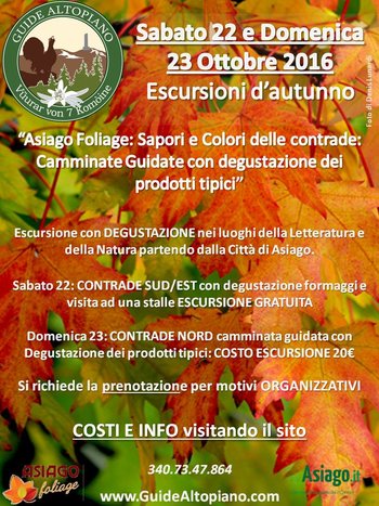 Foliage 2016 Foliage 2016