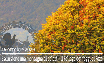 Foliage di Foza_GuideAltopiano Foliage di Foza_GuideAltopiano