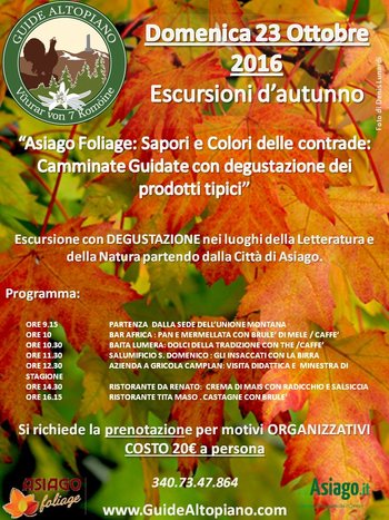 Foliage domenica 2016 Foliage domenica 2016