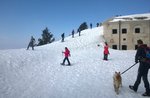 STRONG CAMPOLONGO Guided snowshoe hike with GUIDE plateau, March 11, 2017