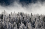 MOUNT ZOVETTO: Englisch-11 März 2018 Winter-Wanderung mit HIGHLAND GUIDES