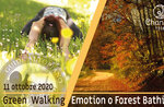 FOREST BATHING o GREEN WALKING EMOTION: passeggiata emozionale, 11 ottobre 2020