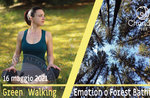 FOREST BATHING o GREEN WALKING EMOTION: passeggiata emozionale, 16 maggio 2021