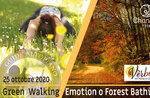 FOREST BATHING oder GREEN WALKING EMOTION: Emotionaler Spaziergang, 25. Oktober 2020