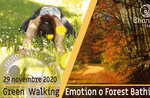 FOREST BATHING or GREEN WALKING EMOTION: emotional walk, 29 November 2020