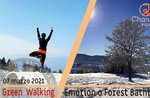 FOREST BATHING or GREEN WALKING EMOTION: emotional walk, March 7, 2021