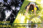 GREEN WALKING EMOTION or Forest Bathing Emotional Walk, June 20, 2020