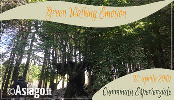 GreenWalking Emotion_Guide_Altopiano_Chandra_Yoga_Asiago