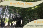 GREEN WALKING EMOTION: Wellness im Wald, 20. April 2019