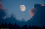 M'illumino di LUNA: Wanderung Mount Zovetto GUIDES Plateau Abend 31. März 2018